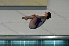 Women's Diving  Wheaton College Women’s Diving vs Mount Holyoke College. - Photo by Keith Nordstrom : Wheaton, Swimming & Diving
